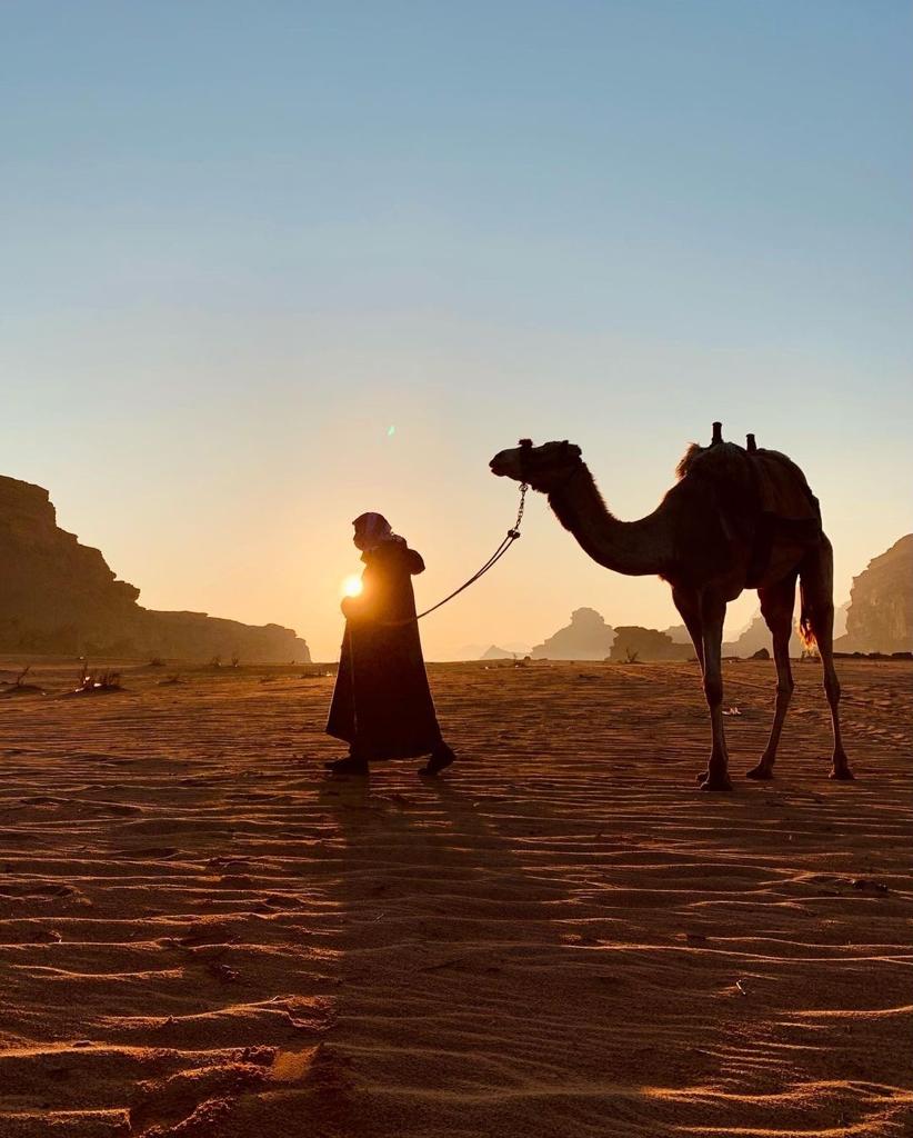 Camel tours